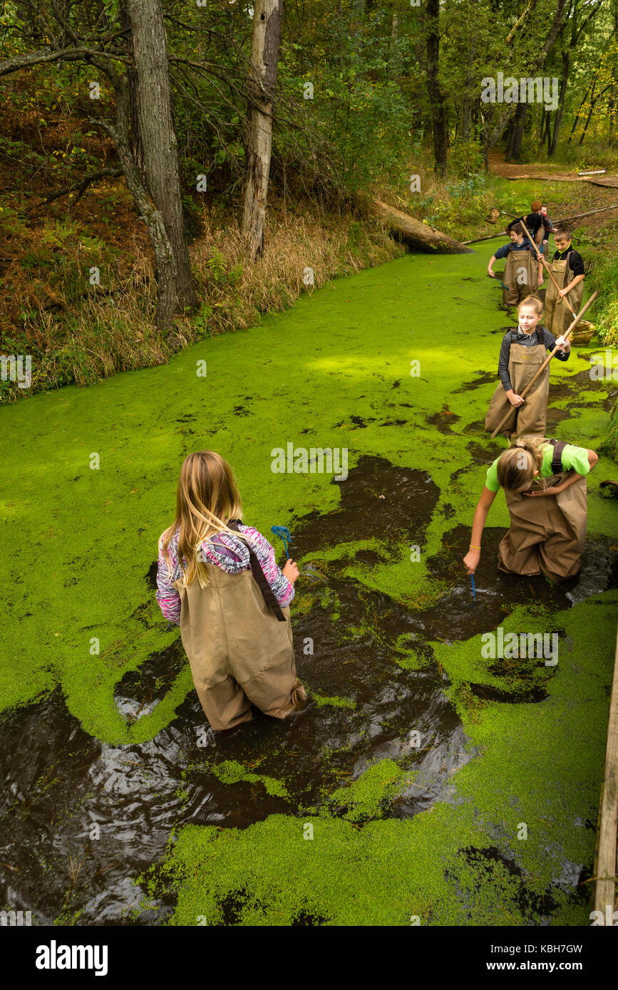 I bambini a piedi in acqua con il loro insegnante come imparano sulla biologia acquatica e altre attività di educazione ambientale a upham boschi outdoor lear Foto Stock