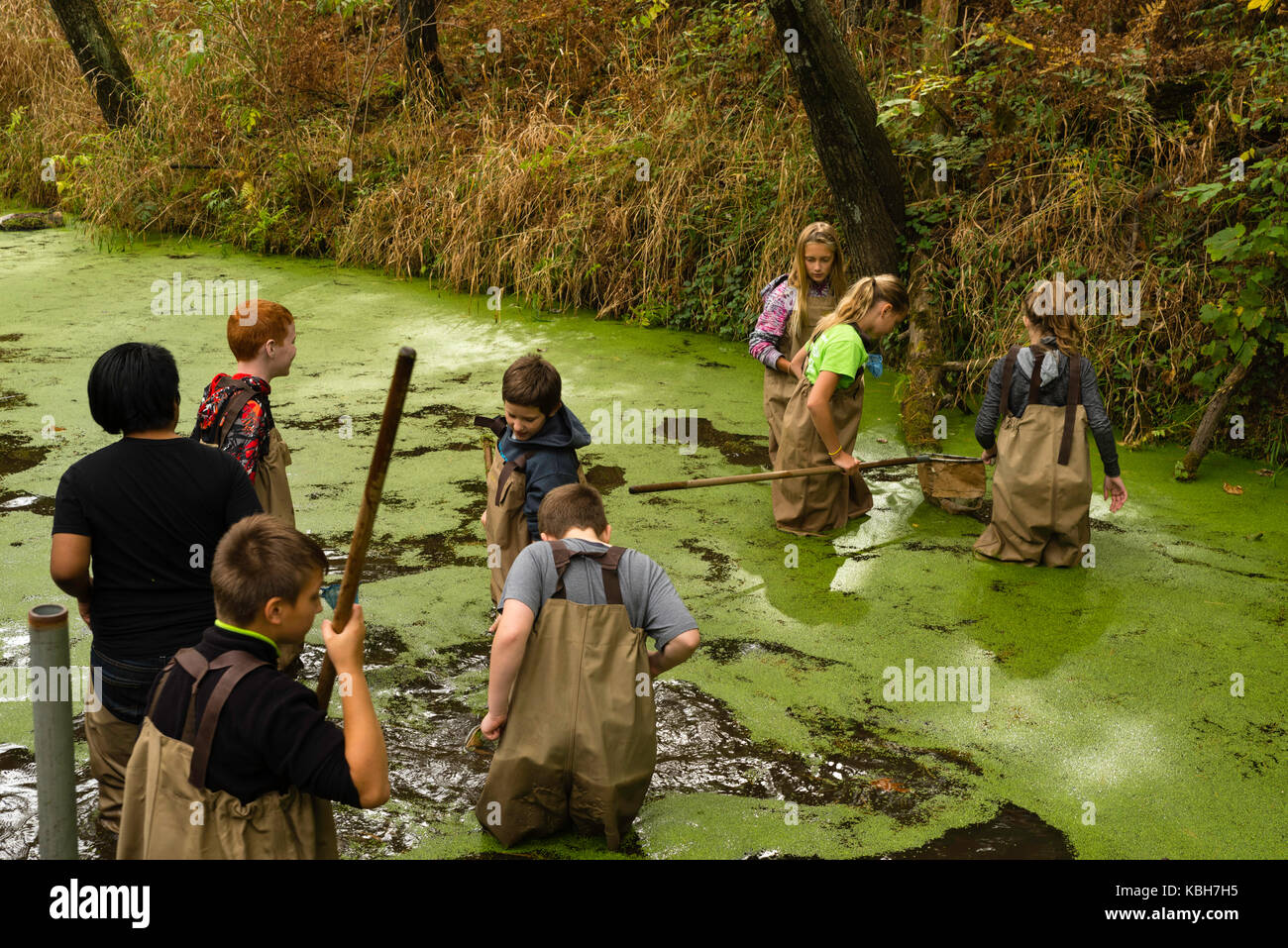 I bambini a piedi in acqua con il loro insegnante come imparano sulla biologia acquatica e altre attività di educazione ambientale a upham boschi outdoor lear Foto Stock