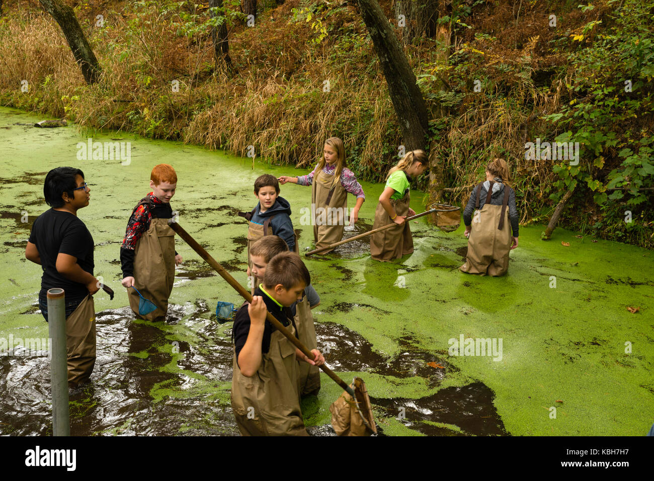 I bambini a piedi in acqua con il loro insegnante come imparano sulla biologia acquatica e altre attività di educazione ambientale a upham boschi outdoor lear Foto Stock