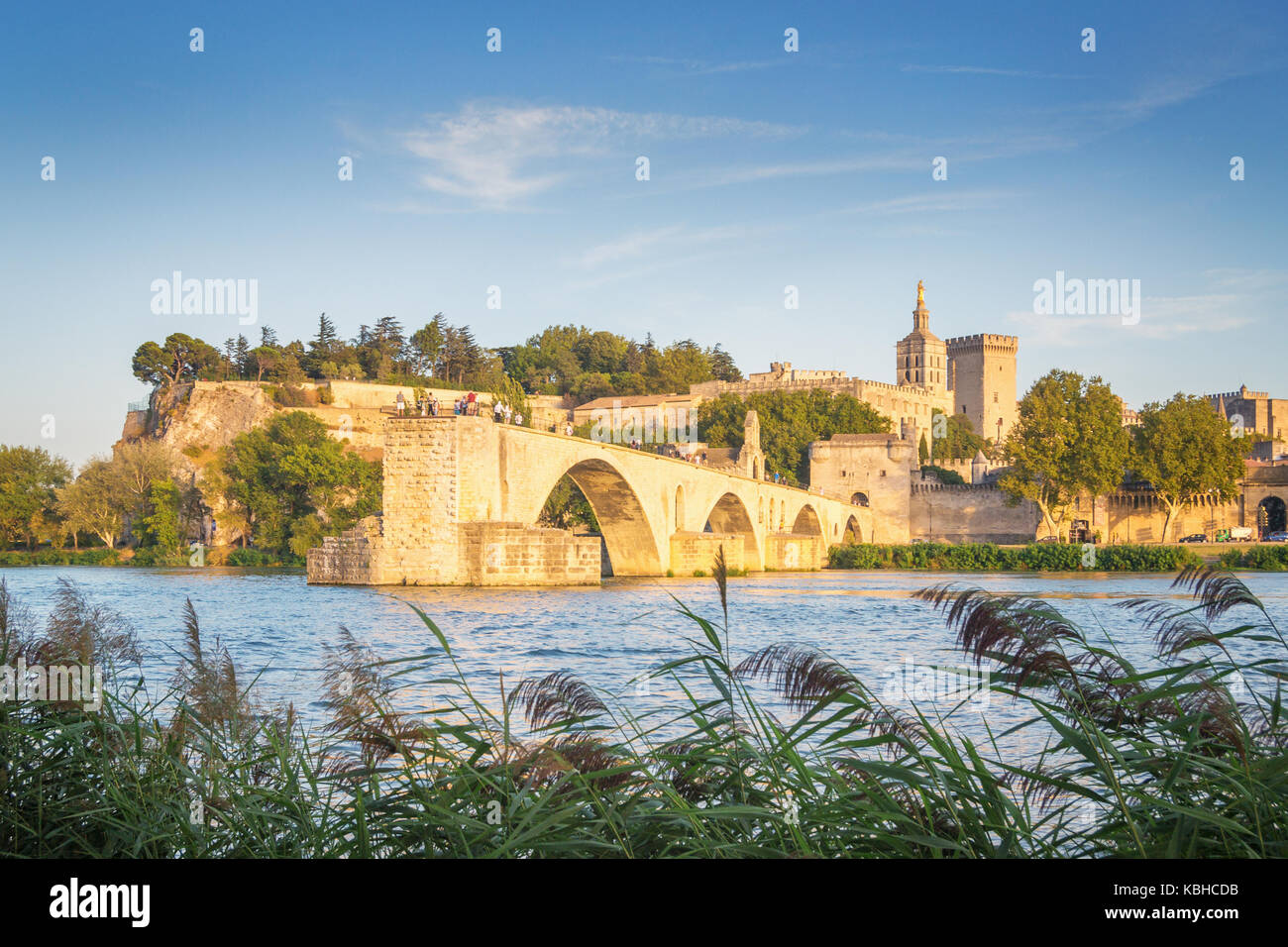 Avignone, Francia Foto Stock