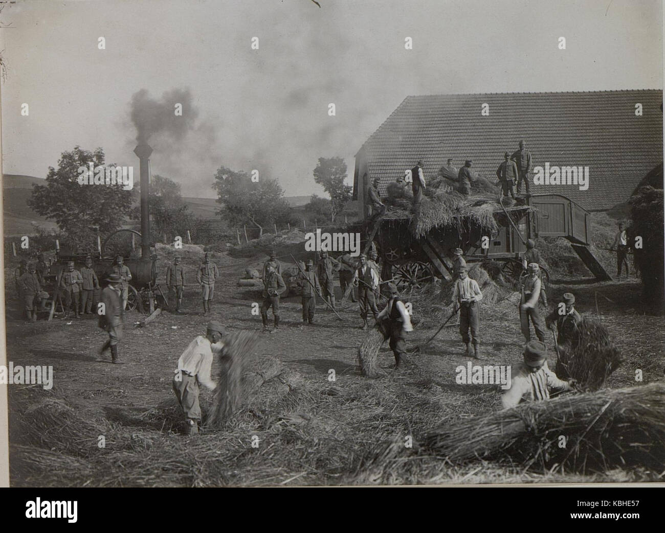 Soldaten beim Dreschen in Bybto 1916. (BildID 15451987) Foto Stock