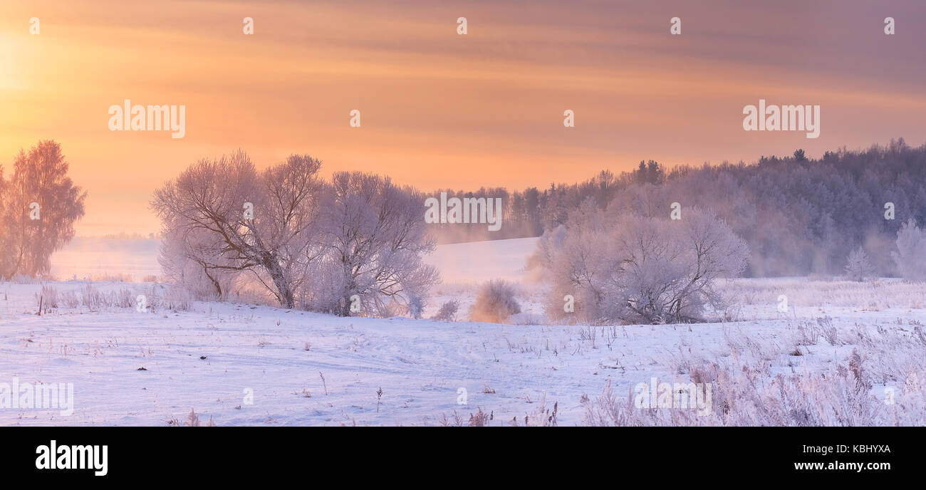Sfondo Inverno. Il pupazzo di neve alberi in luce del sole di mattina.gli alberi con il bianco brina sulla neve in mattinata il pupazzo di neve. Foto Stock