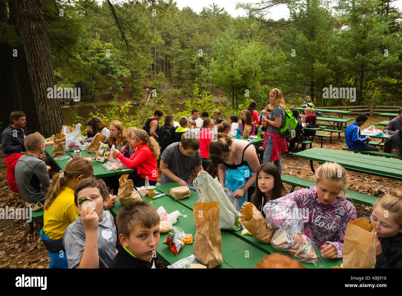 I bambini mangiano il pranzo a tavoli da pic-nic durante la partecipazione in attività di educazione ambientale a upham boschi outdoor learning center, una parte delle nazioni unite Foto Stock