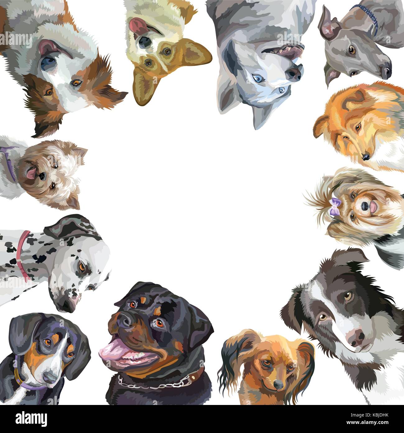 Gruppo di ritratti di cani di differenti razze (rottweiler, Border Collie; toy terrier, pembroke welsh corgi sheltie,Yorkshire terrier, Levriero Italiano, Illustrazione Vettoriale