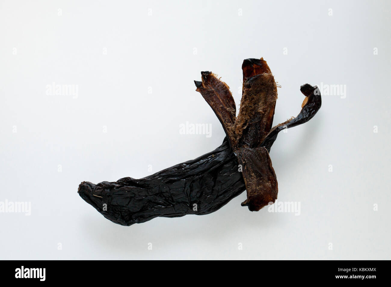 Raggrinzito secco, vecchio nero frutto di banana Foto Stock