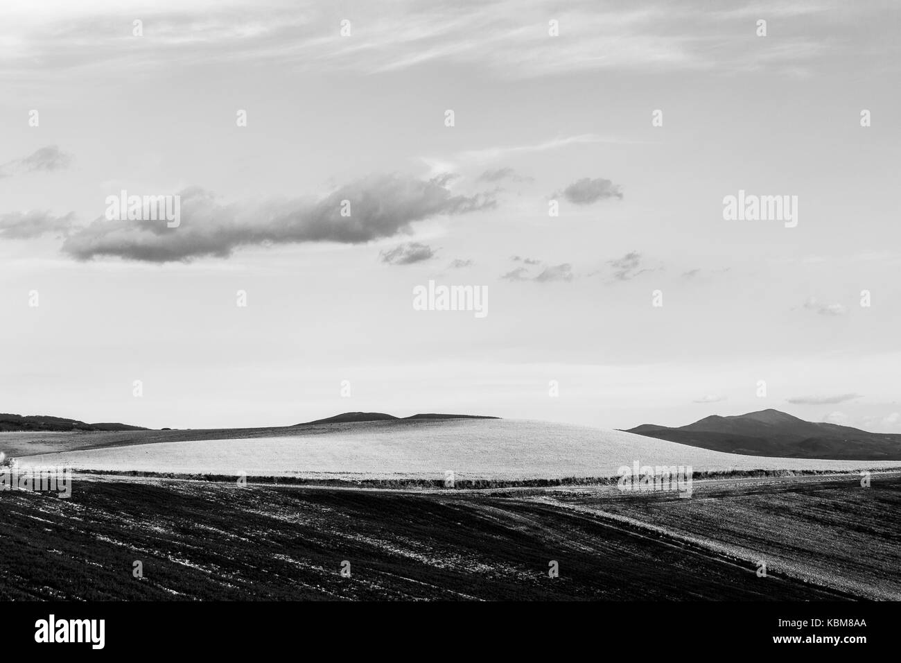 Coltivate i campi di toscana, con il cielo e le montagne sullo sfondo Foto Stock