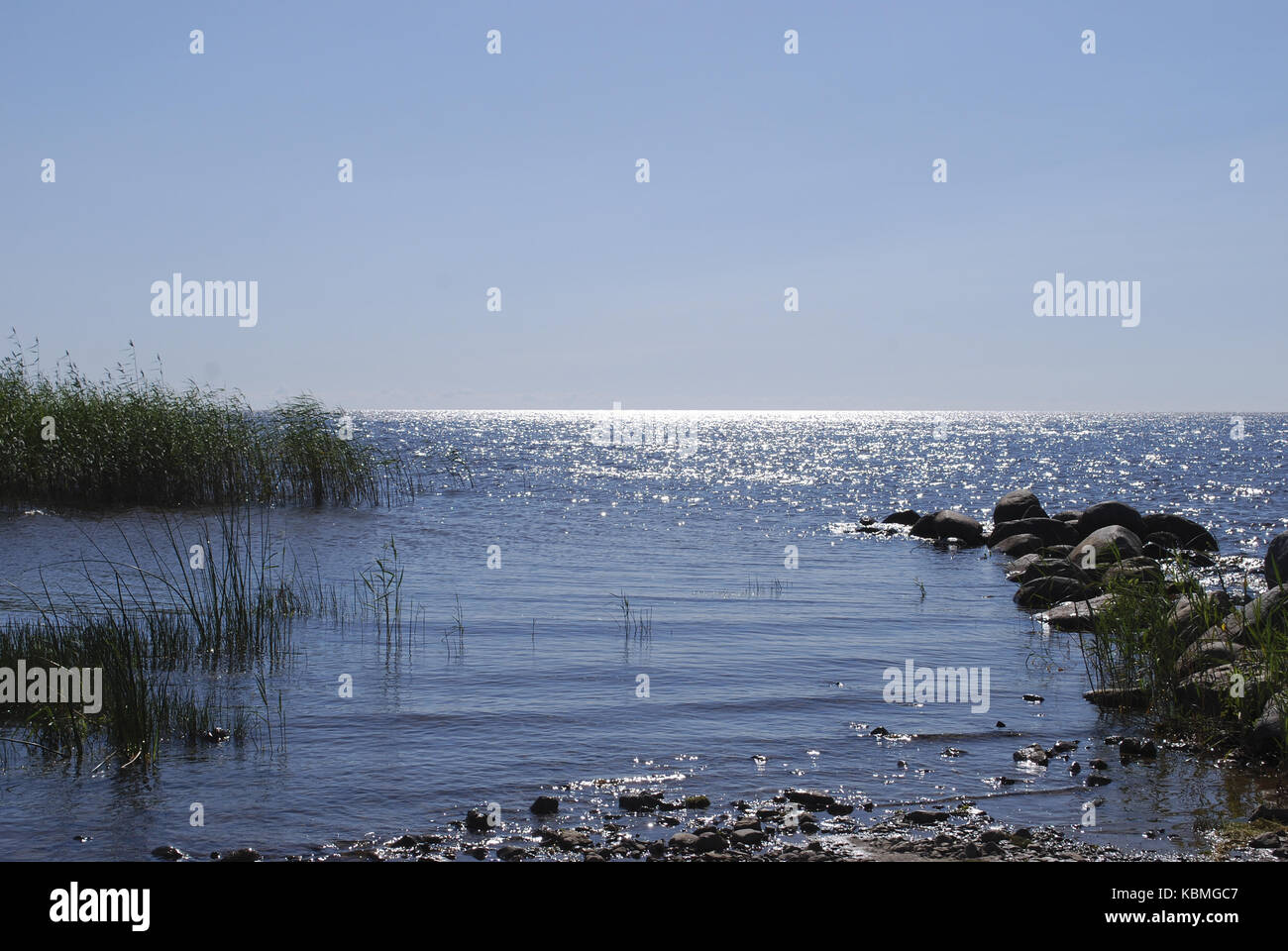 Il lago peipsi chudskoe (lago), erboso lakeside. estonia paesaggi. Foto Stock