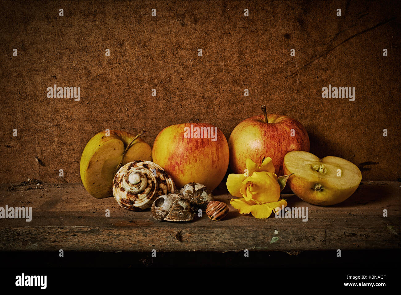 Ancora la vita di gusci di lumaca, mele e una rosa gialla Foto Stock