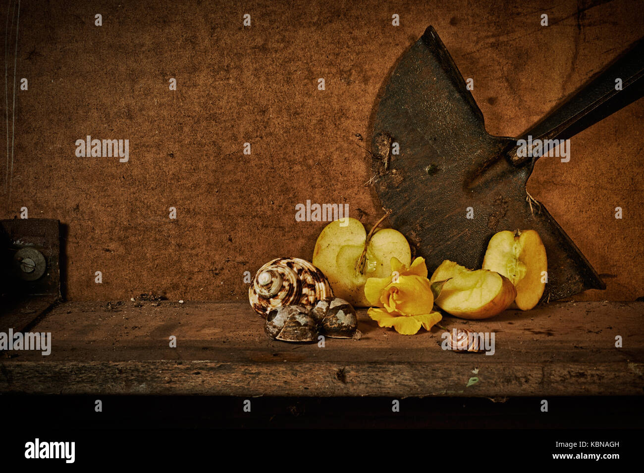 Ancora la vita di fettine di mele, fogli di lumaca, una rosa gialla e attrezzi da giardino Foto Stock