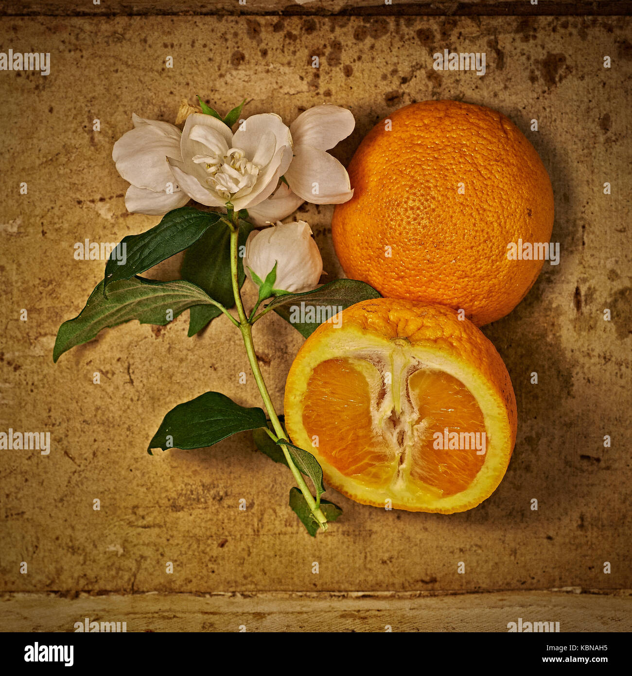 Fette di arancia e fiori d'arancio Foto Stock