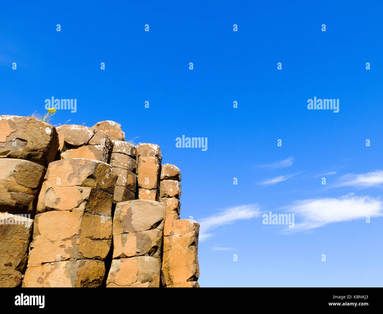 Giant's Causeway in Coutny Antrim, Irlanda del Nord Foto Stock