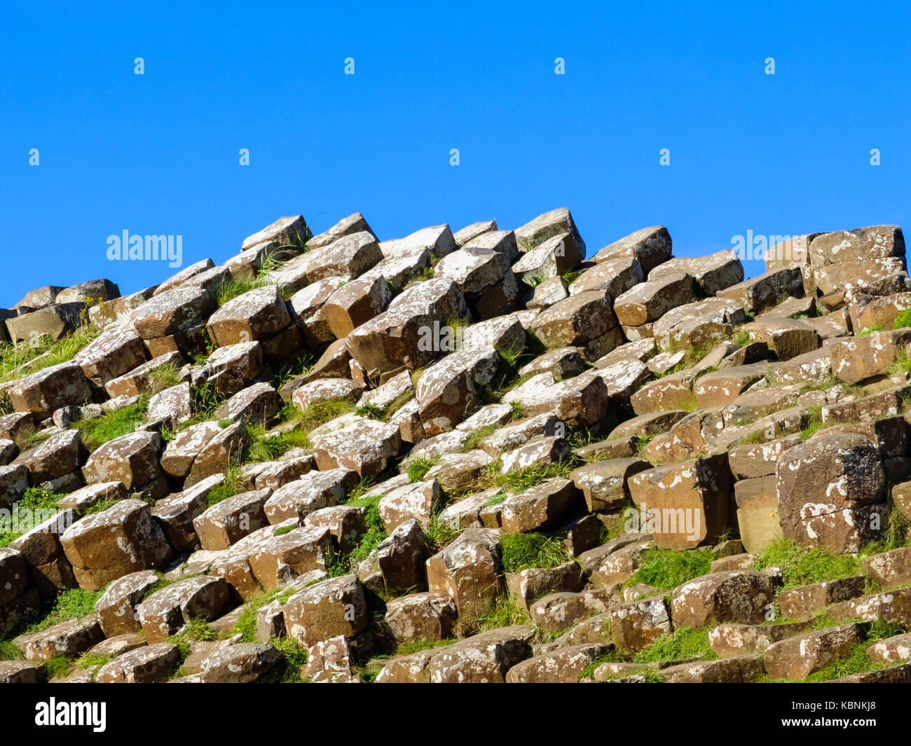 Giant's Causeway in Coutny Antrim, Irlanda del Nord Foto Stock