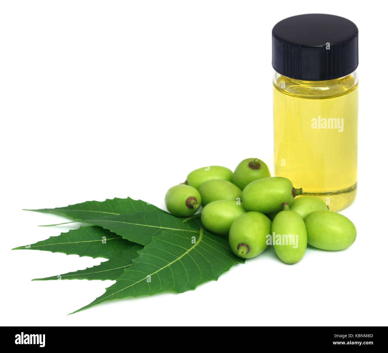 Medicinali estratto di neem con frutti e foglie su sfondo bianco Foto Stock