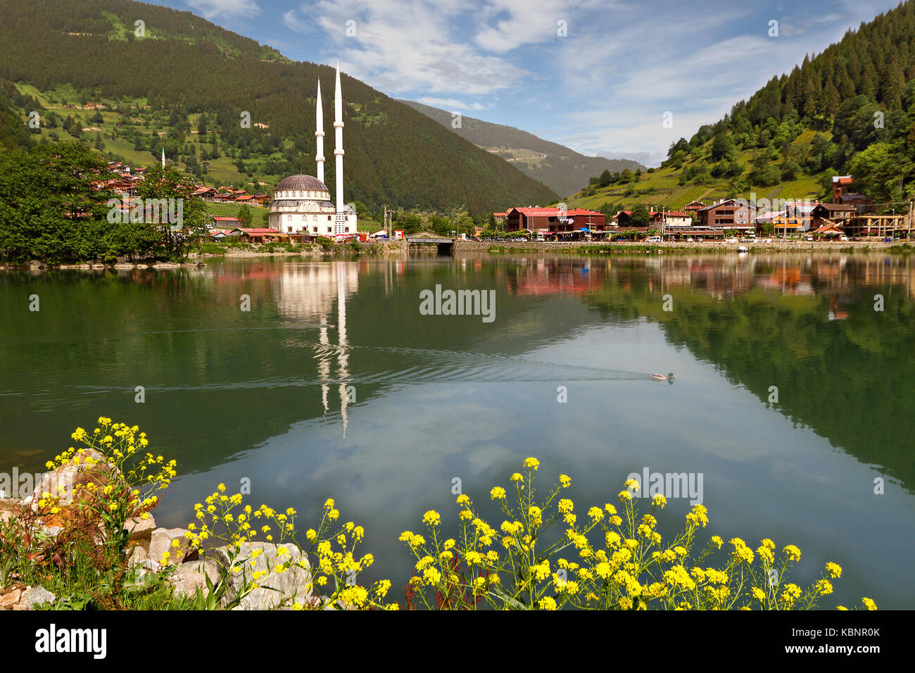 Villaggio di montagna di Uzungol a Trabzon, Turchia. Foto Stock