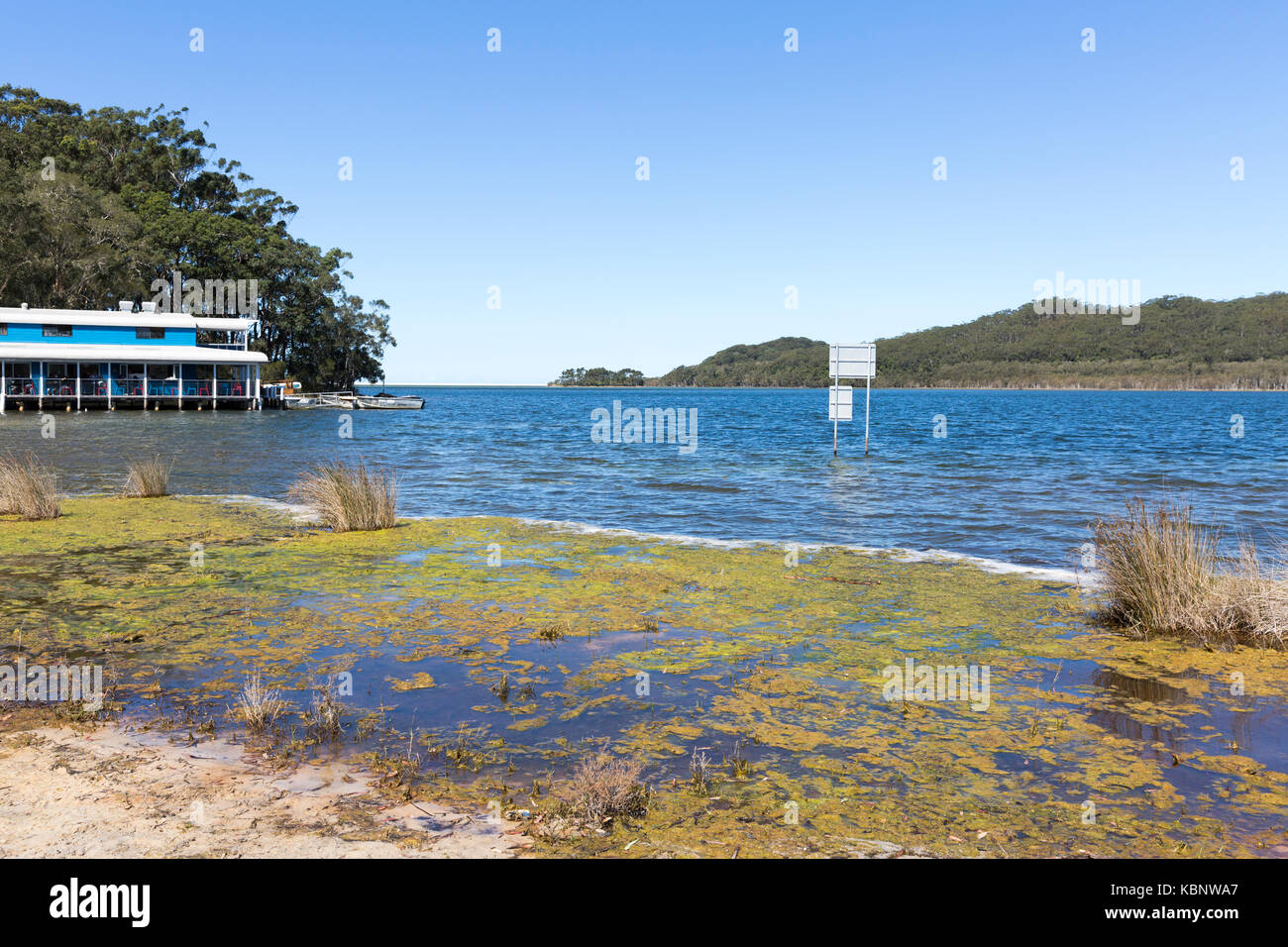 Caffè spumoso cafe e ristorante sul lago di Smiths, uno dei grandi laghi a metà costa nord del Nuovo Galles del Sud, Australia Foto Stock