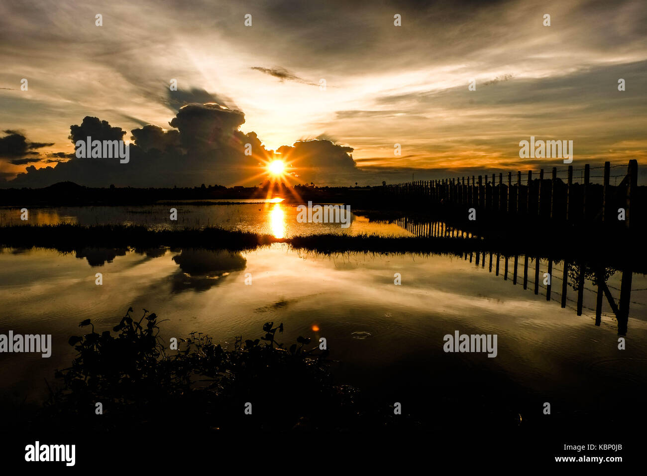 Il miglior tramonto mai presso le risaie. Foto Stock