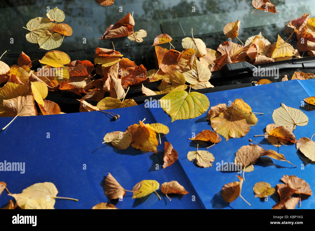 tempo di autunno Foto Stock