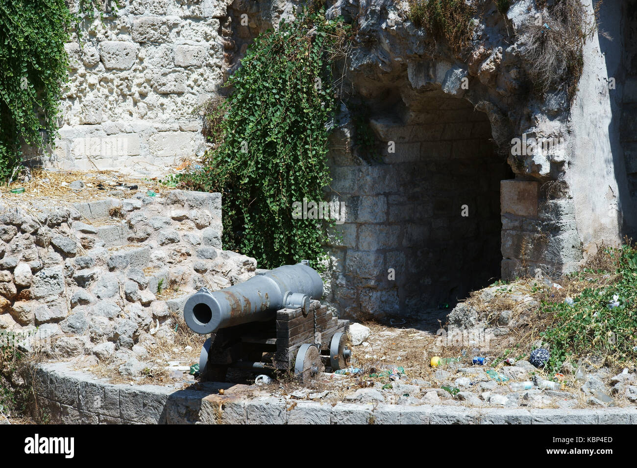 Capperi impianto sulla antica fortezza parete in monopoli puglia - sud Italia Foto Stock