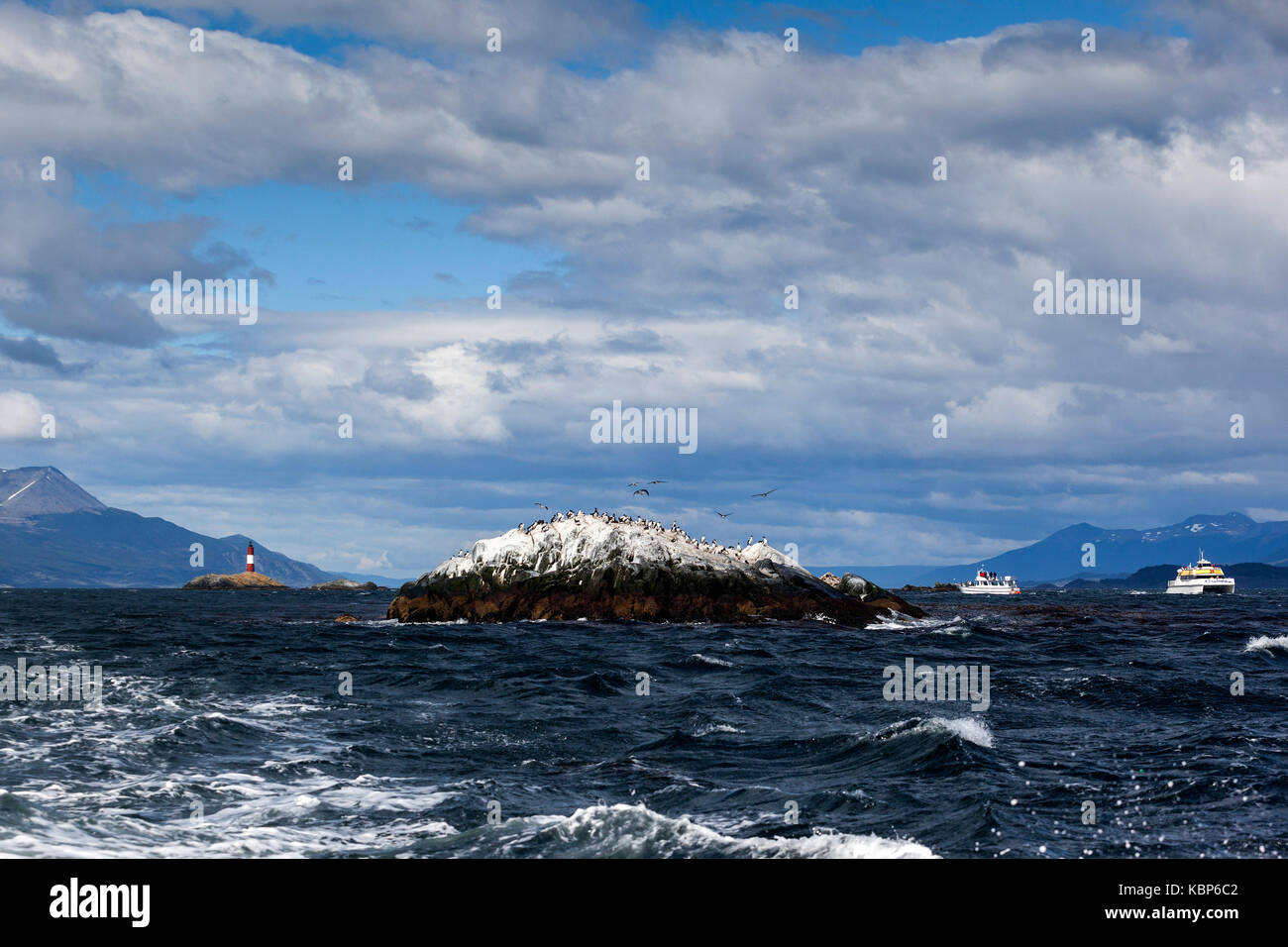 Uccelli nidificanti su una roccia nel Canale di Beagle vicino a Ushuaia, Tierra del Fuego, Patagonia, Argentina, Sud America, Les Eclaireurs Lighthouse sul retro Foto Stock