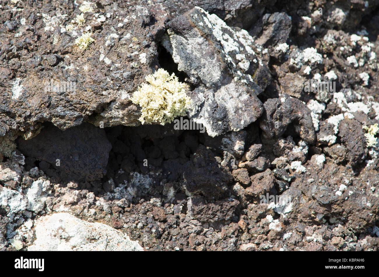 Chiusura del flusso di lava rocce basaltiche a Lanzarote, Isole Canarie, Spagna Foto Stock