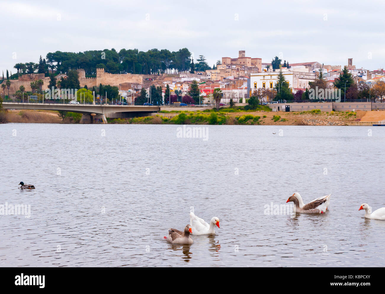 Alcazaba y Río Guadiana. Badajoz ciudad. Extremadura. España Foto Stock