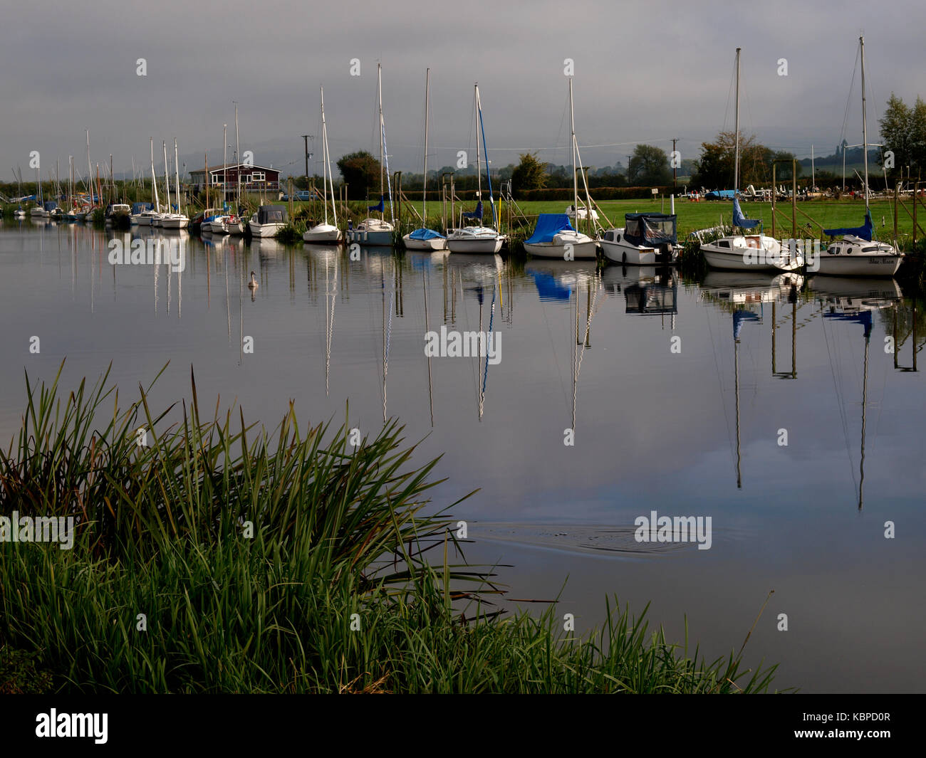 Yacht ormeggiati lungo il fiume Avon, Tewkesbury, Gloucestershire, Regno Unito Foto Stock