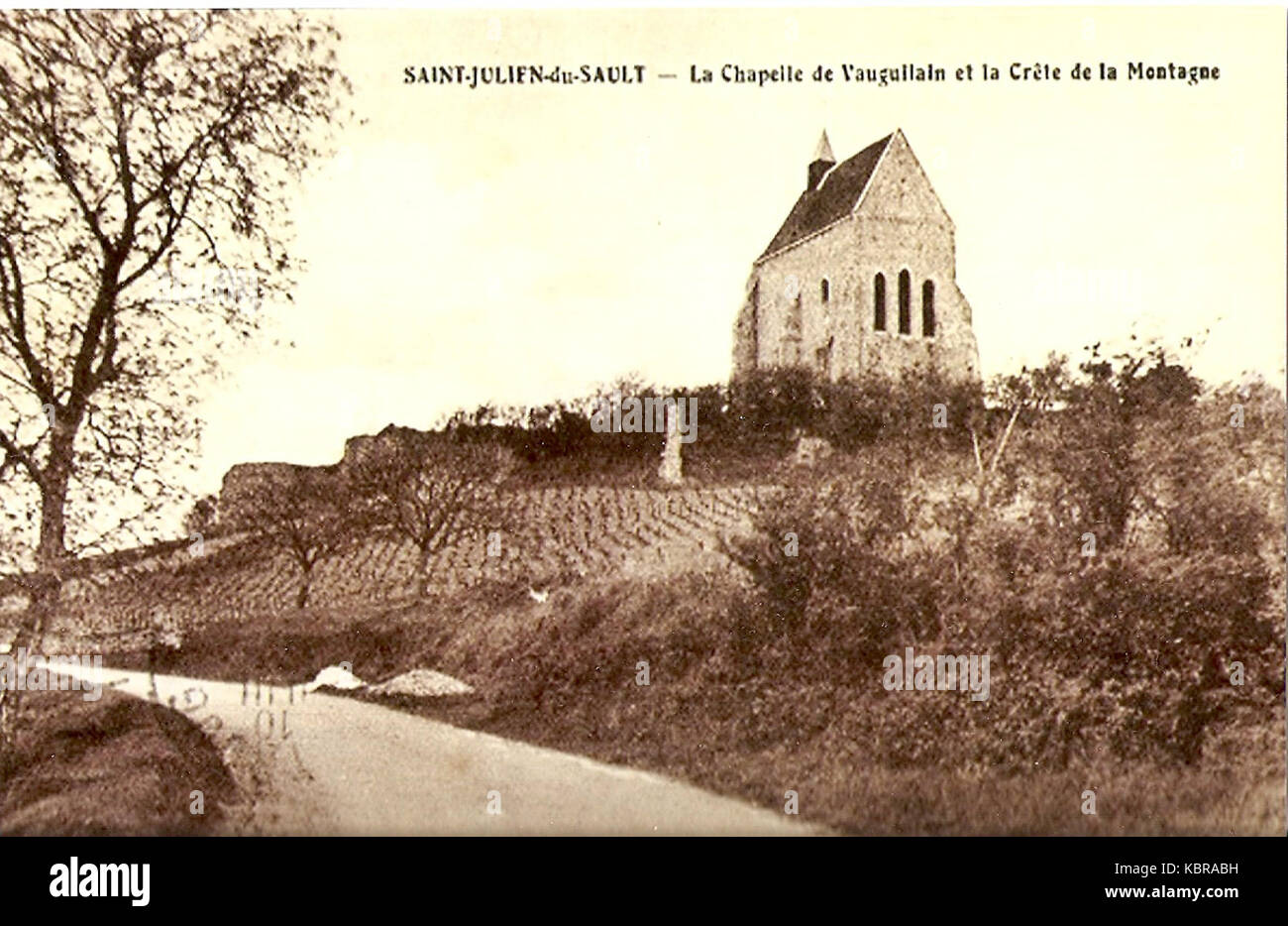 La Chapelle de Saint Julien du Sault Julien (Francia) et la Vigne Au Pied de la Tour 2 Foto Stock