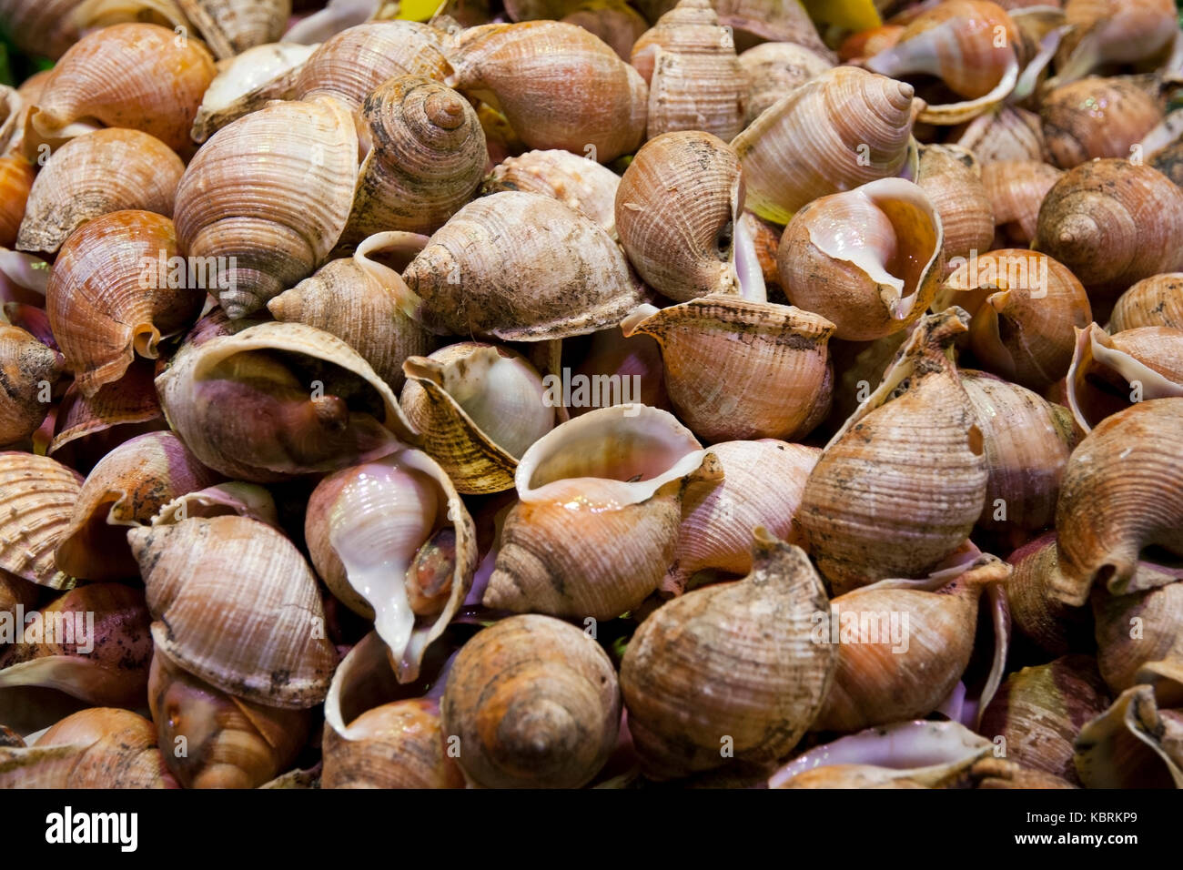 Uno sfondo di mare vongole a vendere al mercato Foto Stock