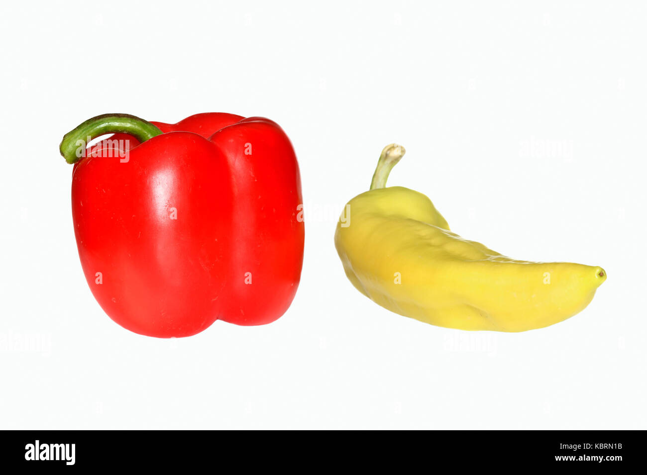 Rosso e il pepe verde frutti / (Capsicum annuum cultivar) | Rote und Gruene Paprikaschoten / (Capsicum annuum cultivar) Foto Stock