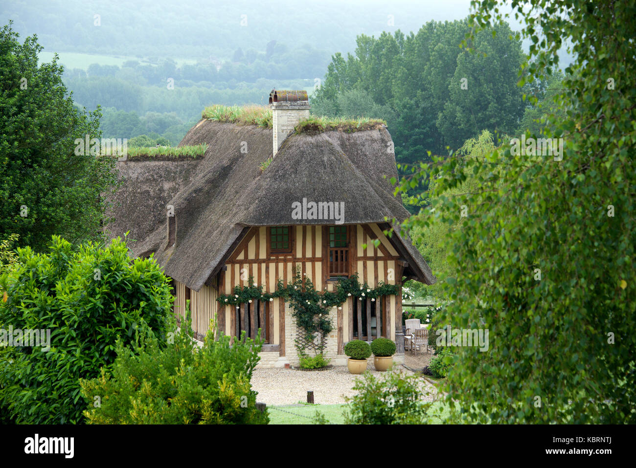 Fine esempio graticcio e casa di paglia con erba sul tetto Pierrefitte-en-Auge Calvados Normandia Francia Foto Stock
