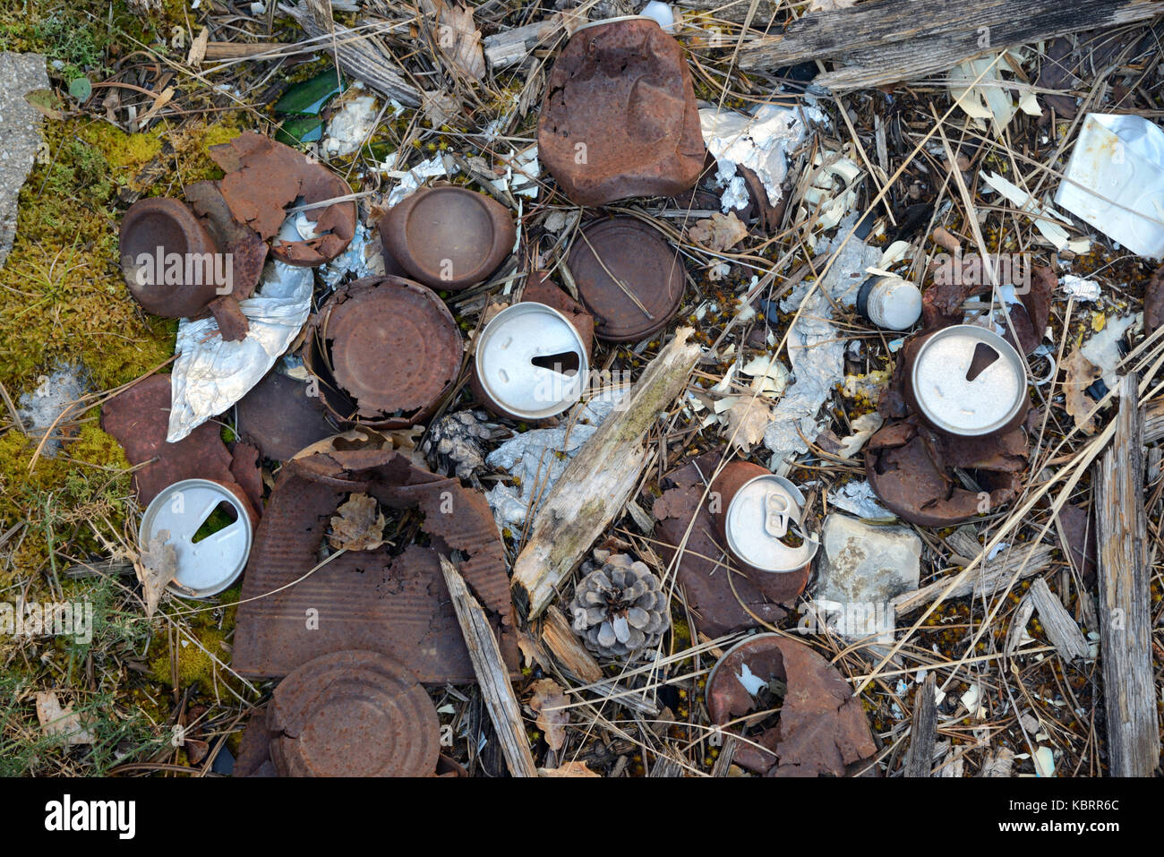 Vecchio arrugginito lattine di lattina sparsi sul suolo della foresta Foto Stock