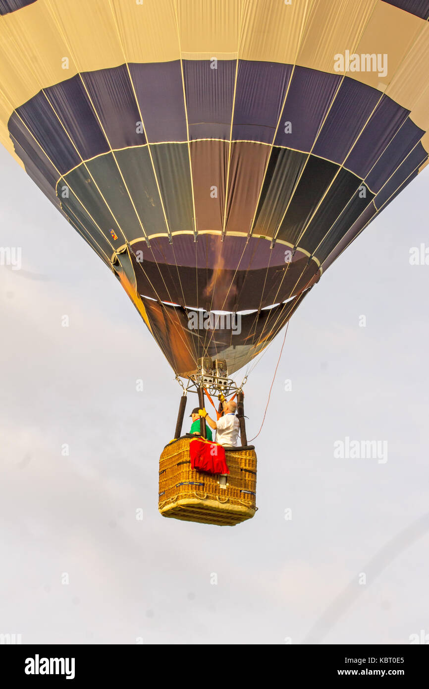 Palloncini alla festa della mongolfiera di York del 2017 che parte dall'ippodromo di York Foto Stock