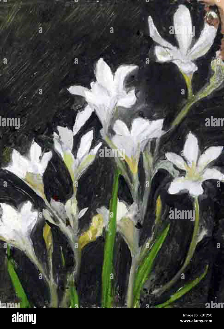 Fiori, da William John Caparne Foto Stock