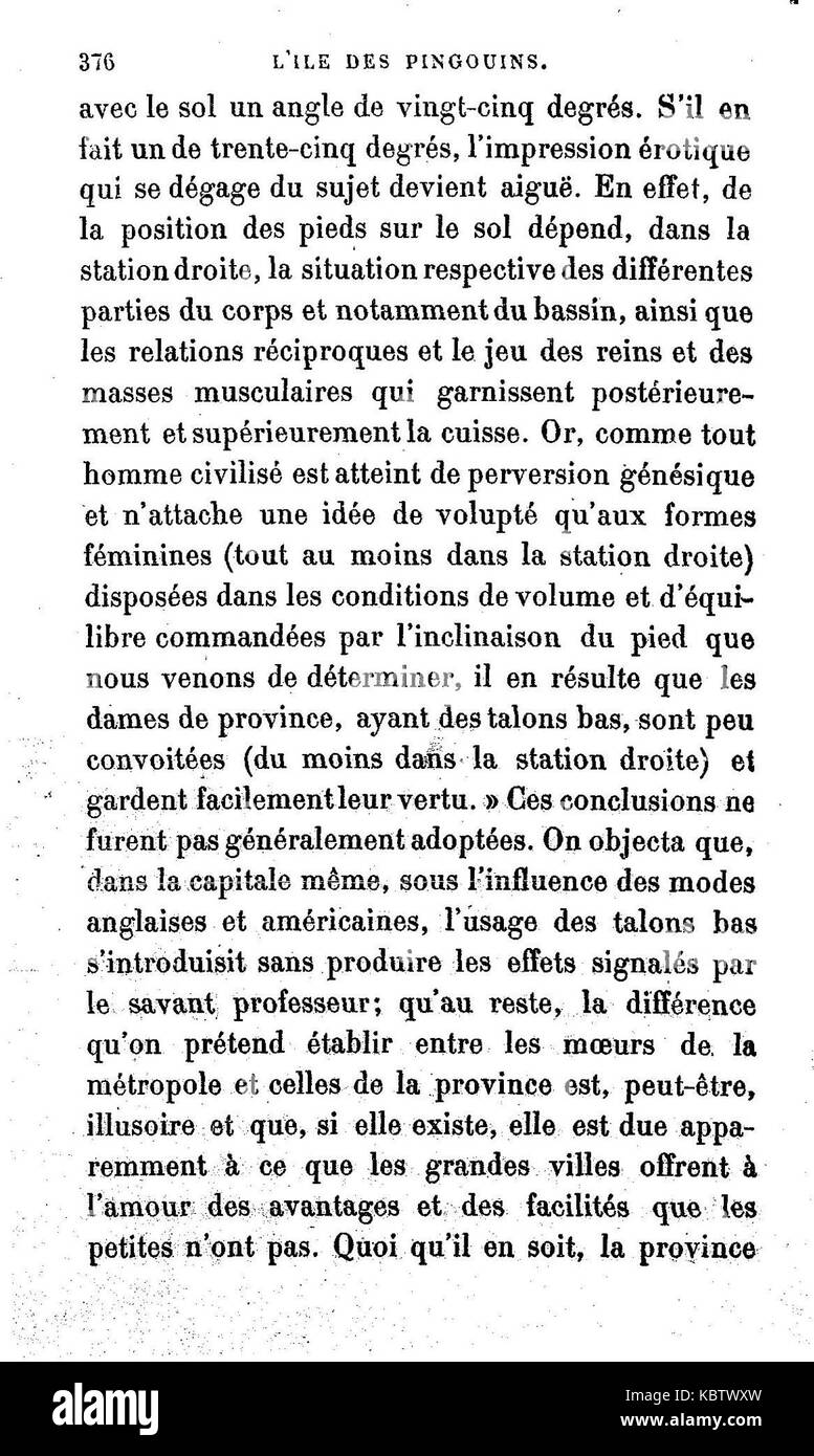 L'Iledespingouins376 Foto Stock