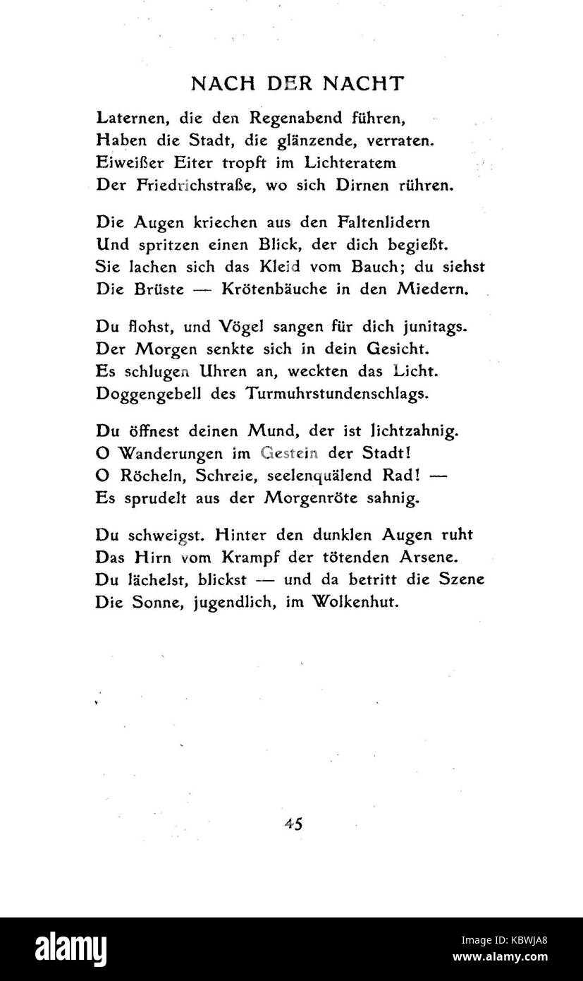 De Boldt Junge Pferde 45 Foto Stock