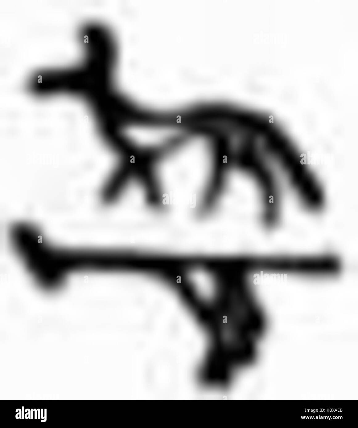 Il simbolo Anubis rappresenta l'antico dio egizio dell'aldilà, Anubis. Noto per aver supervisionato la mummificazione e aver guidato le anime degli inferi, questo simbolo ha un profondo significato culturale e religioso nell'antico Egitto. Foto Stock