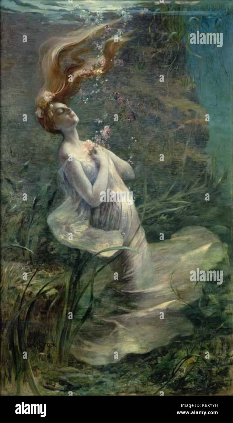 Steck Paolo albertophelia Foto Stock