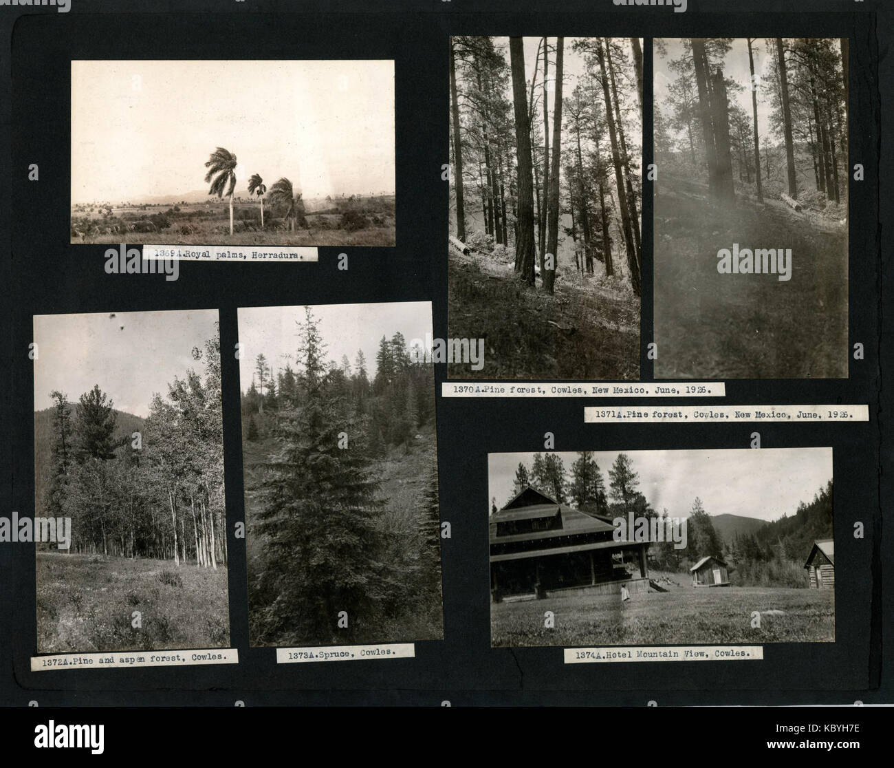 Pagina 66 documenta le spedizioni di raccolta di piante di A. S. Hitchcock nella Guyana britannica, Washington D.C., Cuba, Colorado e Wyoming dal 1918 al 1920. Foto Stock