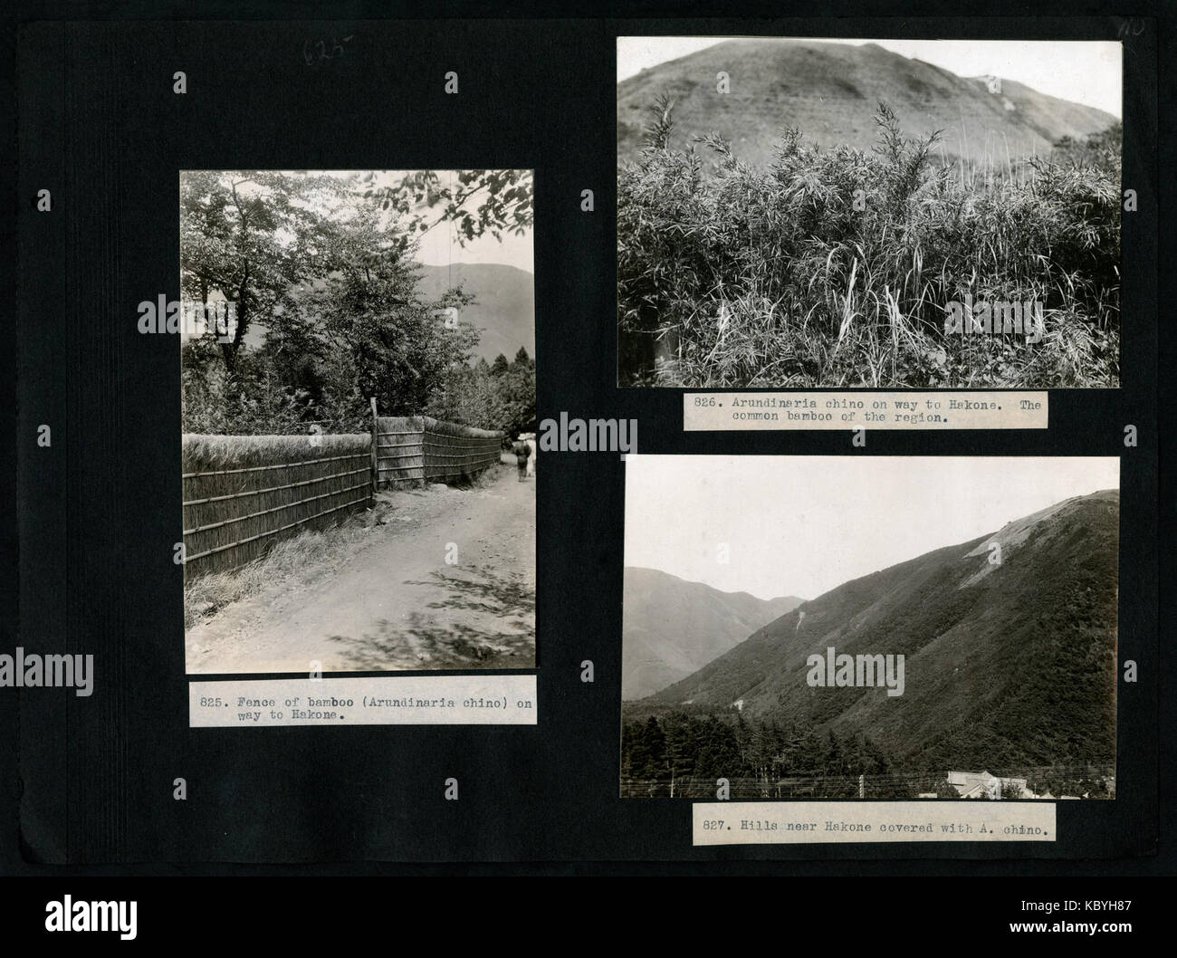 Questa pubblicazione storica include fotografie dei viaggi di A.S. Hitchcock in Asia, Georgia, Florida, Panama e Ecuador tra il 1921 e il 1923, con immagini di Floyd A. McClure. Foto Stock