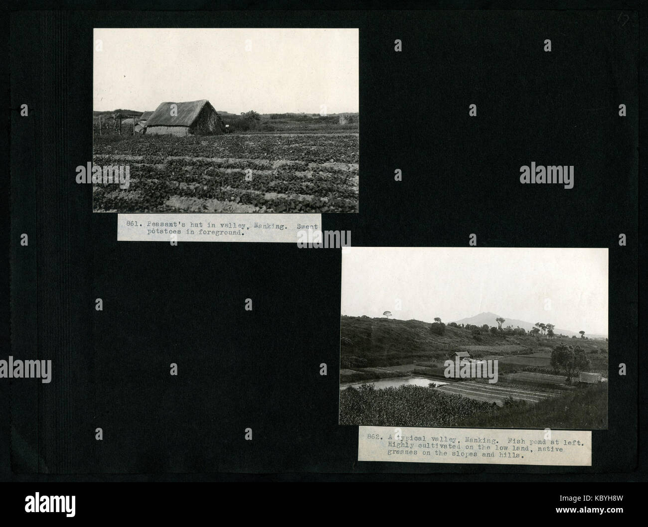 Una raccolta di fotografie dei viaggi di A.S. Hitchcock in Georgia, Florida, Panama ed Ecuador, con figure di rilievo come Floyd A. McClure, catturate nei primi anni '1920 Foto Stock