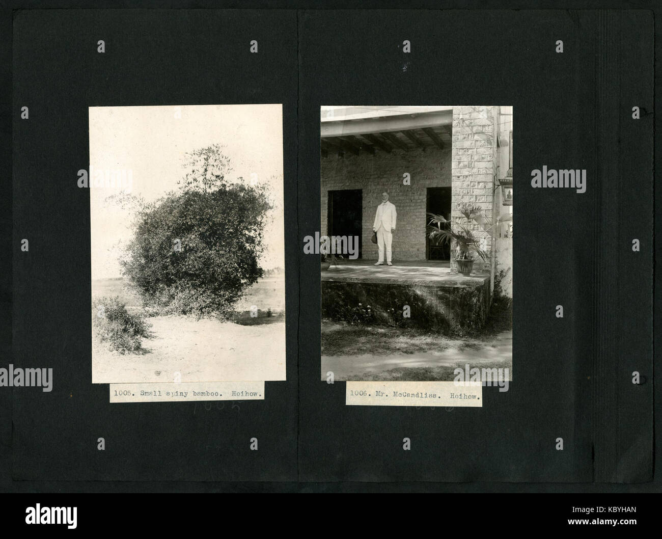 782 1118, A. S. Hitchcock Asia, 1921, Georgia e Florida, Panama ed Ecuador, 1923 comprende fotografie di Floyd A. McClure (pagina 66) BHL48070032 Foto Stock