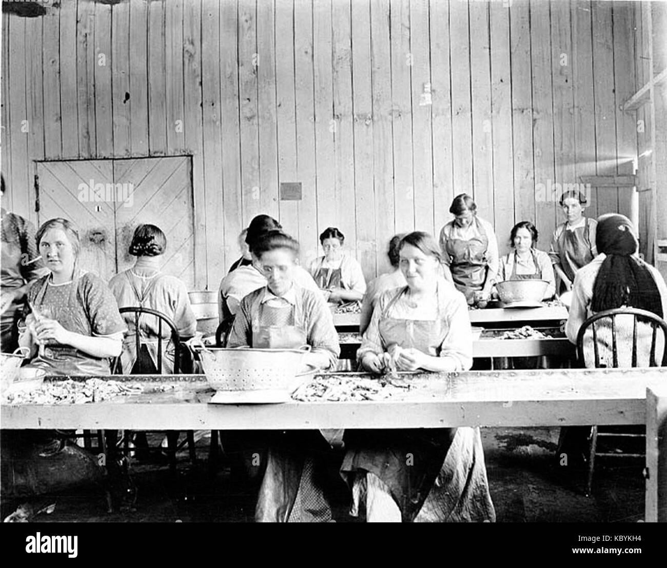 Le donne al Pioneer imballaggio azienda lavora la pulizia delle vongole, Copalis, Washington, 1915 (Cobb 11) Foto Stock