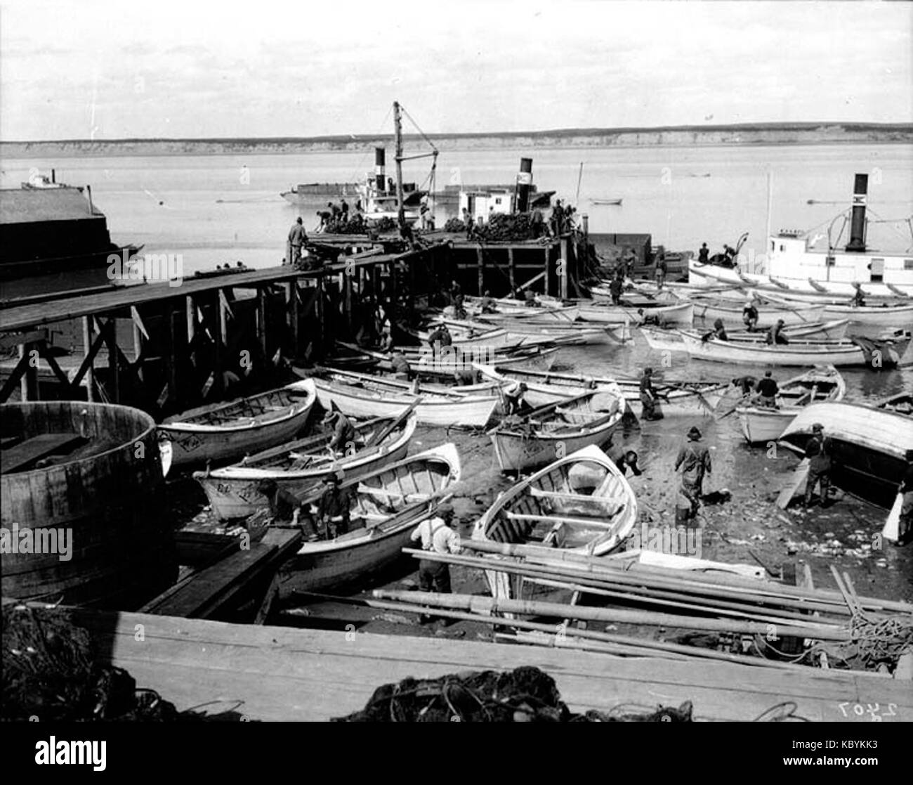 La foto mostra i pescherecci attraccati presso l'Alaska Packers Association cannery a Naknek, Alaska, nell'agosto 1906, un momento chiave nella storia dell'industria ittica dell'Alaska. Foto Stock