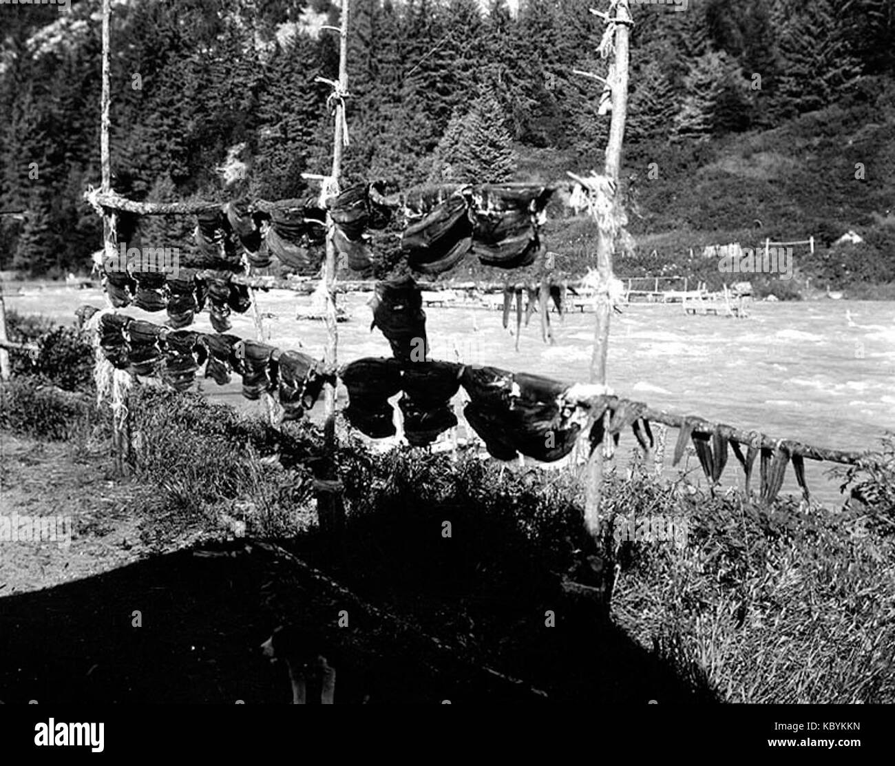 Essiccamento di salmone pesce su rack, Chilkoot River, Alaska, 14 agosto 1911 (Cobb 192) Foto Stock