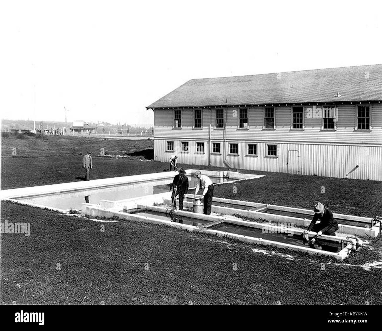 College della pesca stagni di pesce, Università di Washington, Seattle, ca 1925 (Cobb 337) Foto Stock