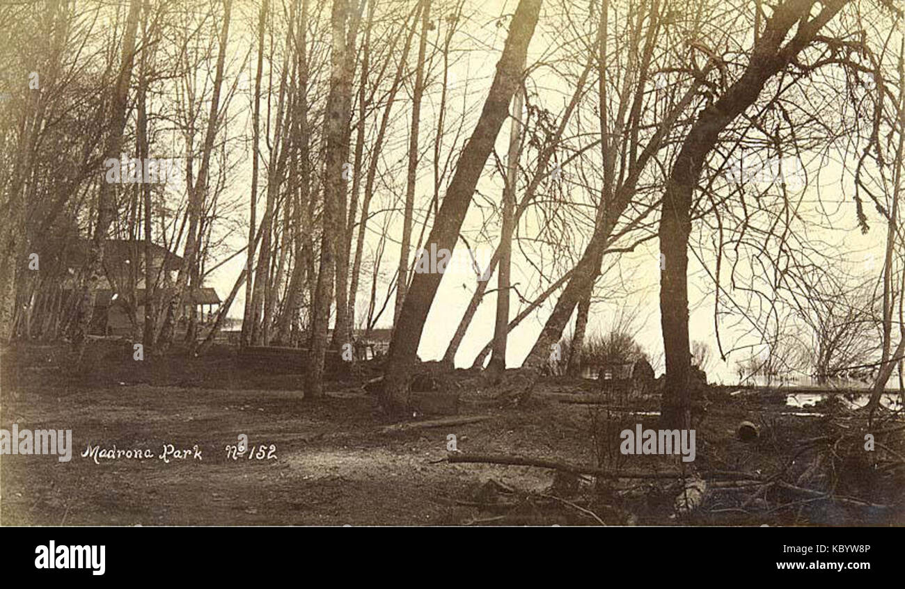 Madrona parco sulla riva del lago Washington, Seattle, ca 1891 (LAROCHE 132) Foto Stock