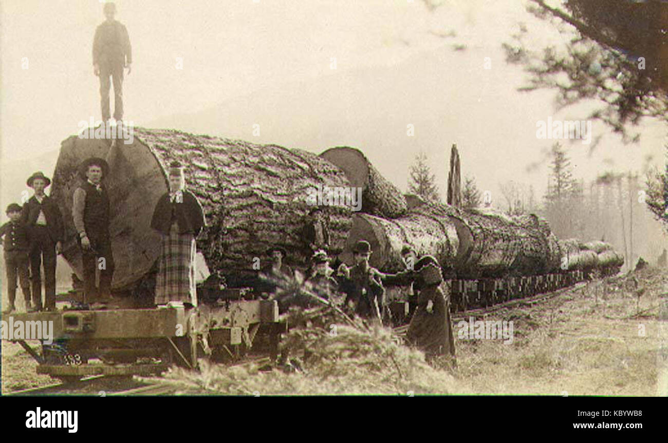 Gruppo di persone poste con la ferrovia pianali atti caricati con i registri, nello stato di Washington, ca 1892 (LAROCHE 270) Foto Stock