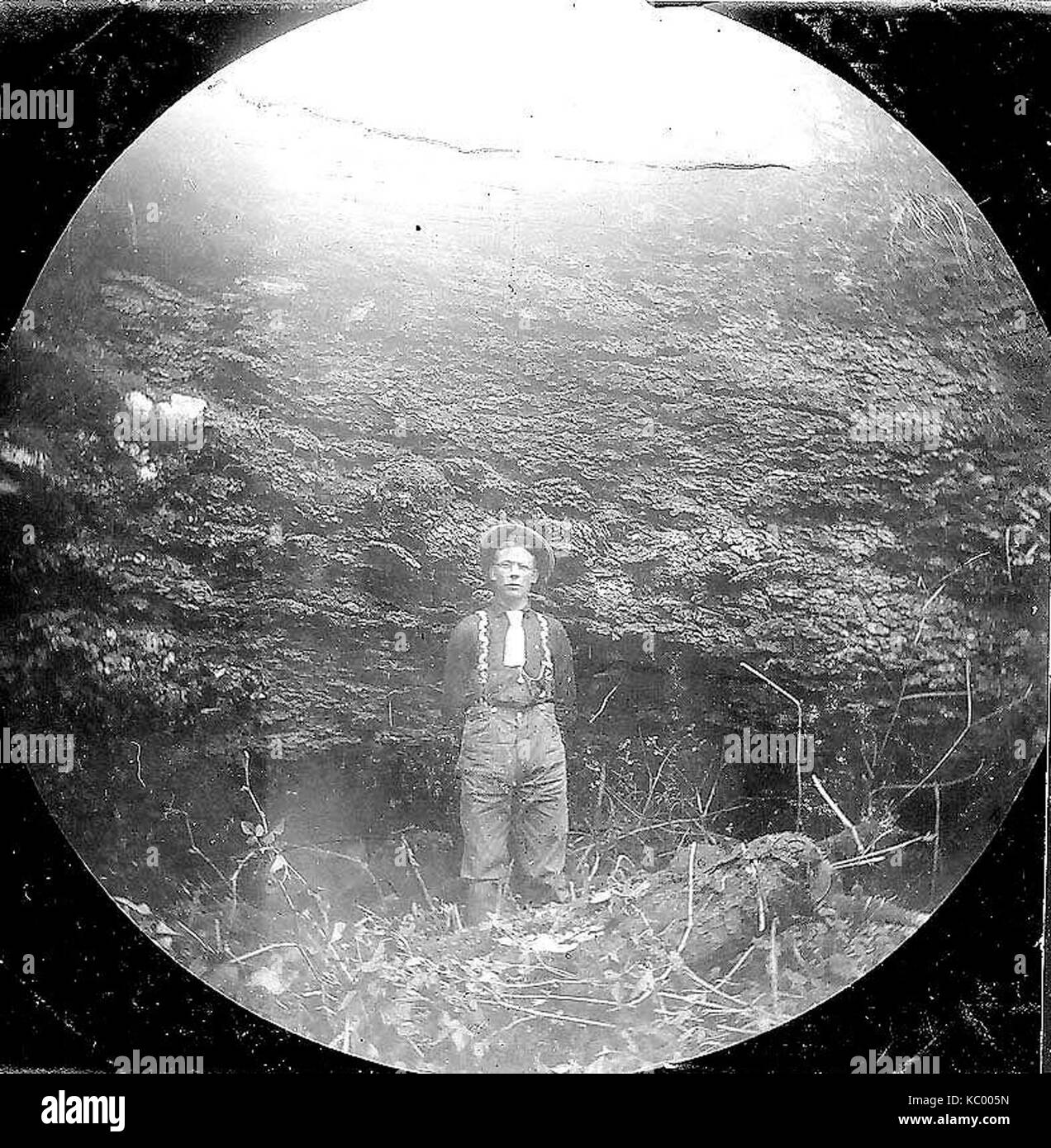 Uomo in piedi accanto al registro di abete, Queets area fluviale, 9 maggio 1893 (SARVANT 100) Foto Stock