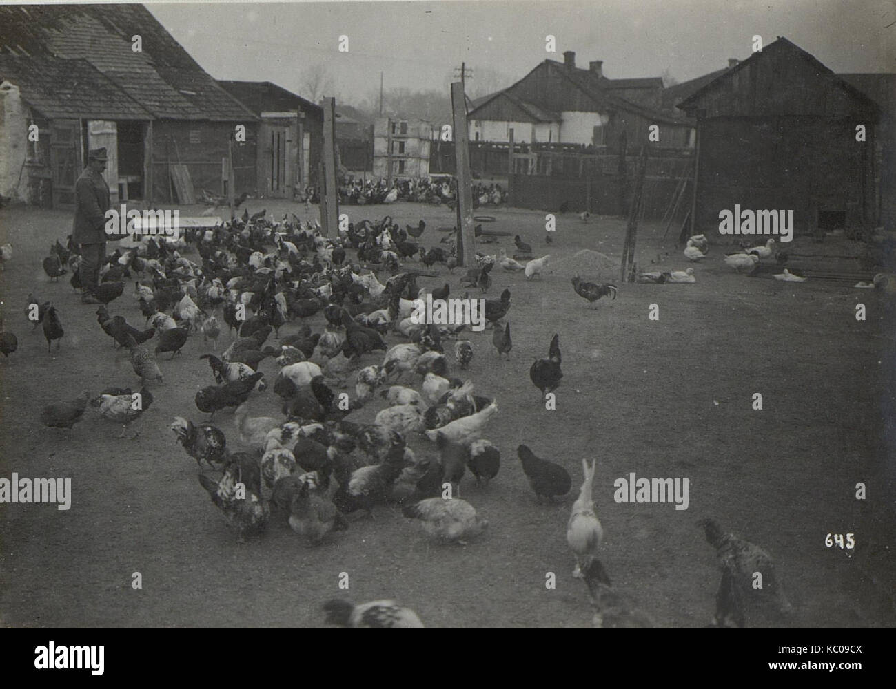 L'immagine di *Kriegsalbum 95* (album di guerra 95) raffigura una scena storica della prima guerra mondiale, mostrando illustrazioni e fotografie che documentano il conflitto e il suo impatto. Foto Stock