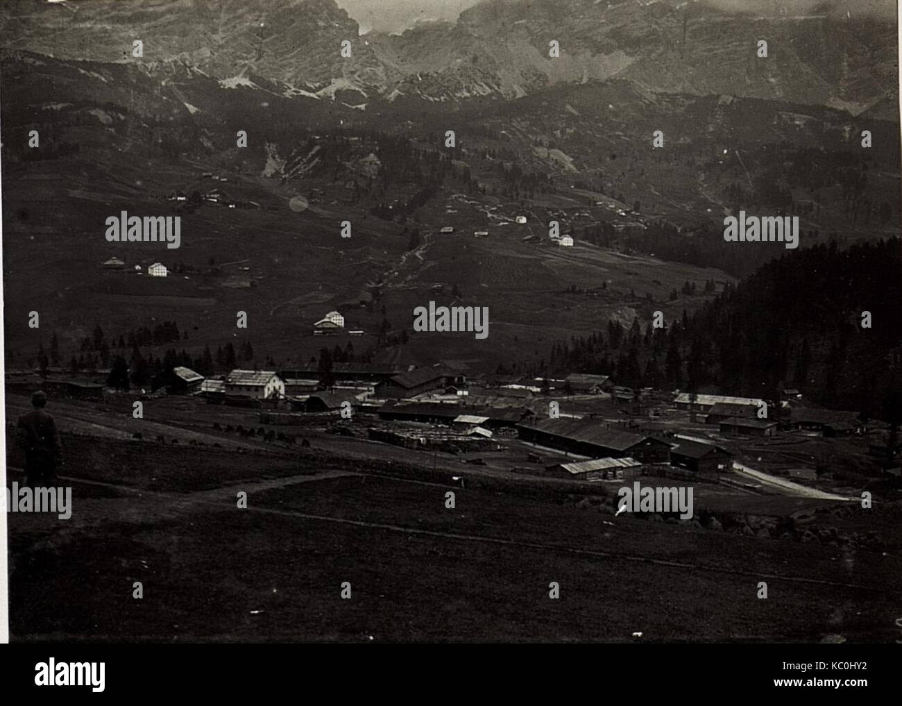 Stern, Baracken. (BildID 15575753) Foto Stock